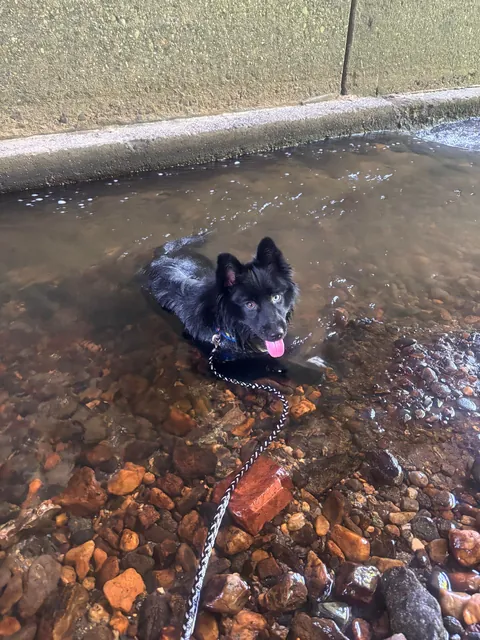 Thanks for checking in, I’d say he’s doing quite well! 3 months with my best friend. Time flies when you’re having fun!