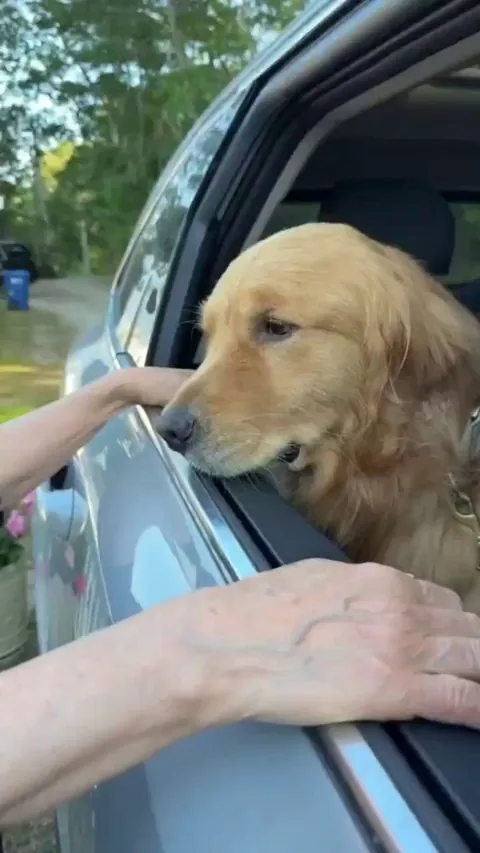 Wally doesn't want to leave grandma's house.