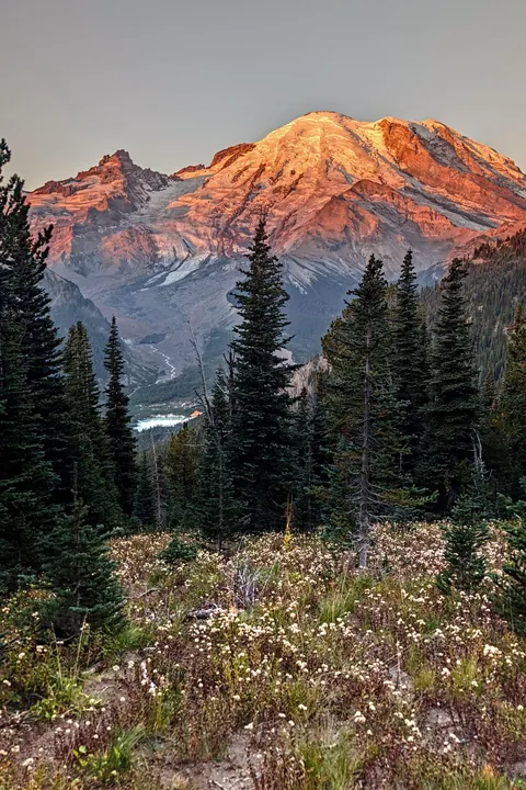Subalpine Meadows at Morning Light, Mount Rainier, Washington, USA [OC][2048x1365]
