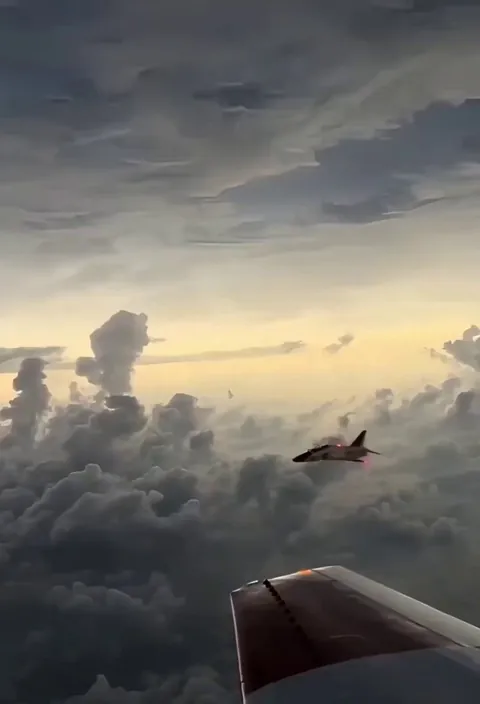 Eclipse from inside fighter jet