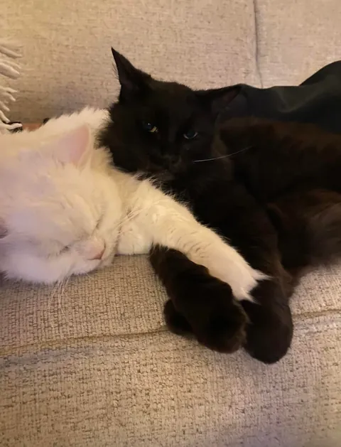 My Void with his Cloud 