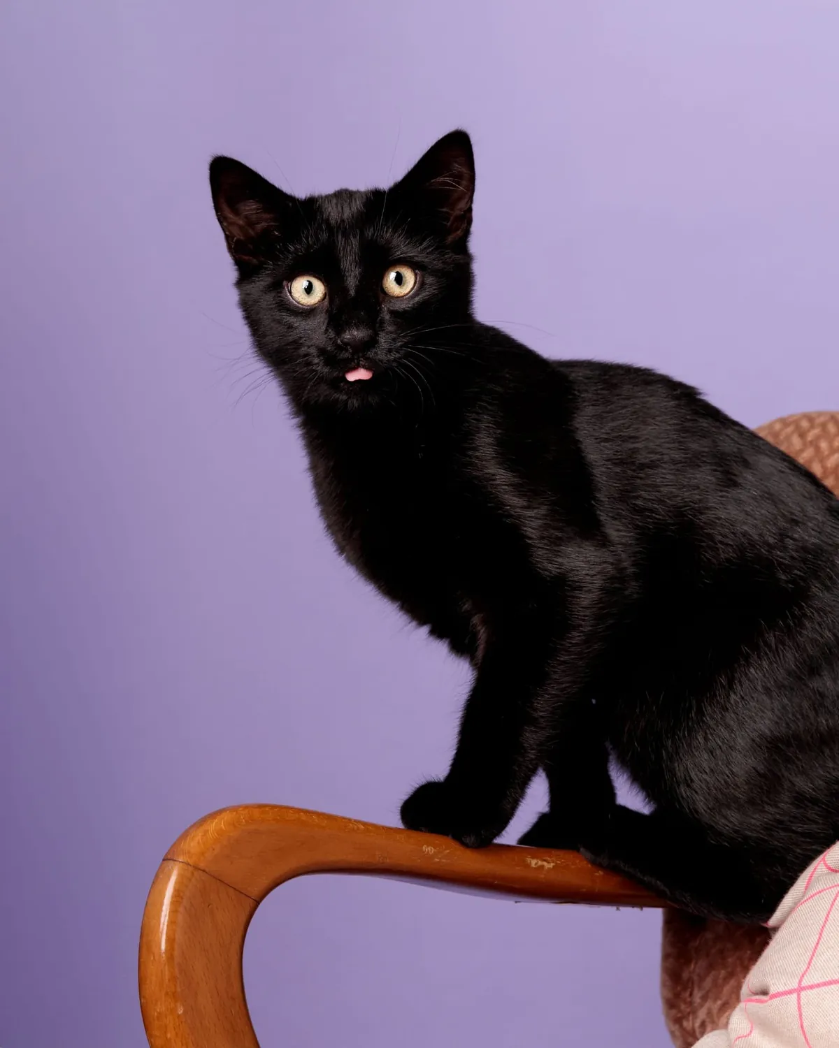 Look who's got a nice photoshoot