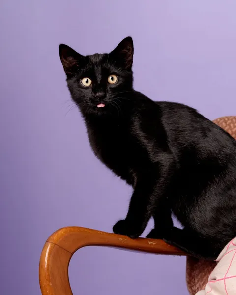 Look who's got a nice photoshoot