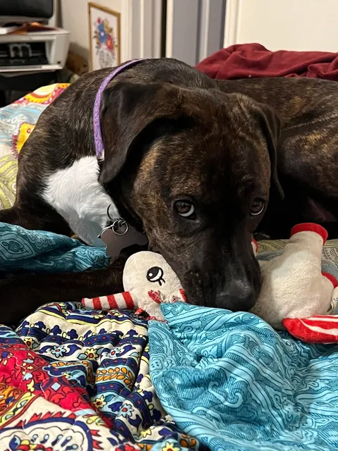 My mommy says I’m a very pretty girl