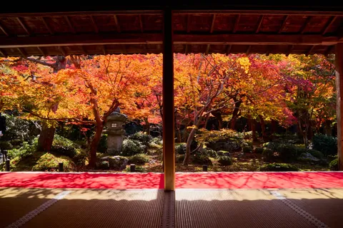 Autumn in Kansai, Japan