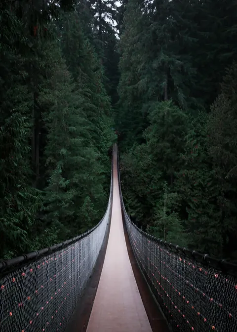 Bridge to the unknown