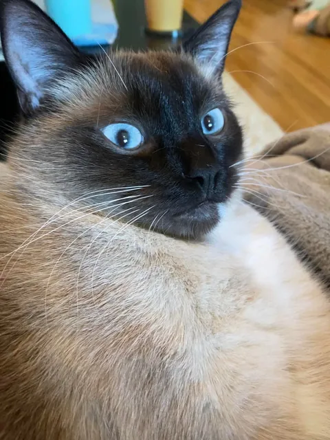 I didn’t know it would be our last day together