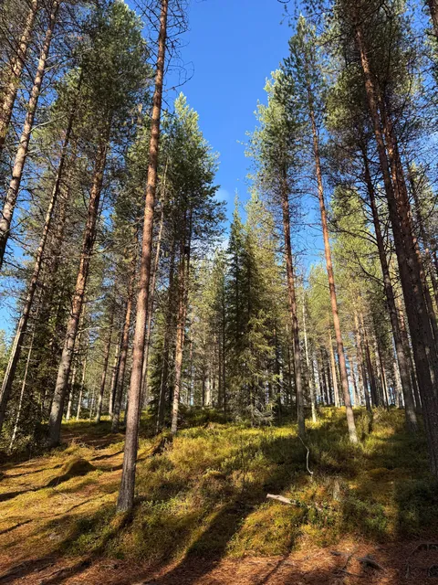 Autumn in Finland