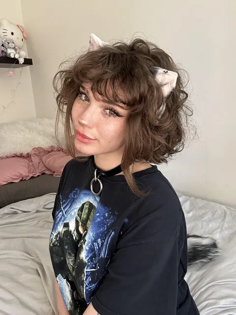 casual collared kitty :3