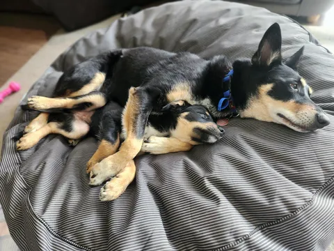 Big spoon lill spoon