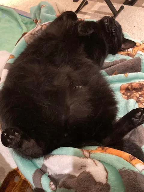 It’s taken me a while to make this post, but here is my sweet man Benjamin <3