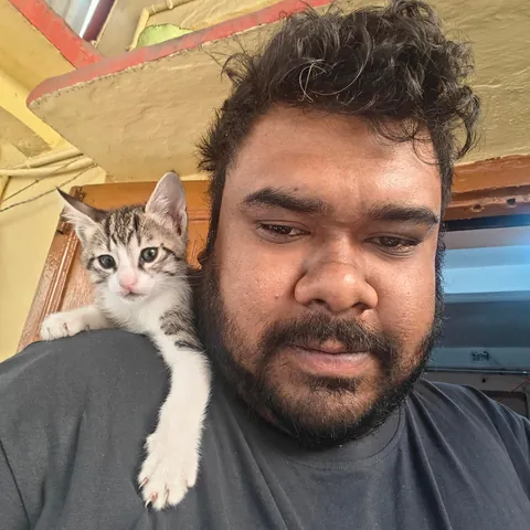 My rescued cat's little kitten trusted me enough for a shoulder ride. Born on 12/12/2025.