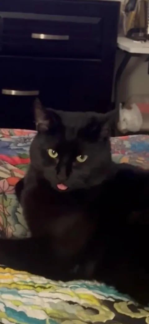 any particular reason my void does this? 😛