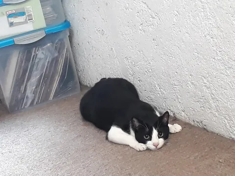 My best friend has left me. I will miss you forever, Luke.