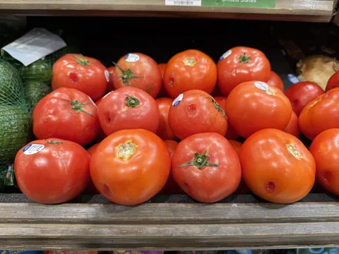 Some kid poked holes in all the tomatoes