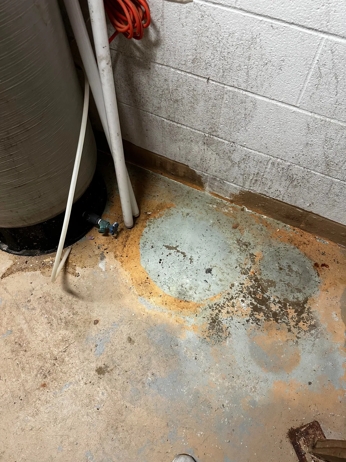 Moved into our “dream home” before closing… to discover it’s a moldy nightmare