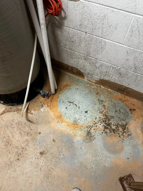 Moved into our “dream home” before closing… to discover it’s a moldy nightmare
