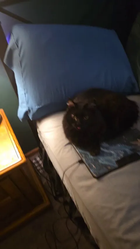 He does this often but this is the furthest his tongue has been out