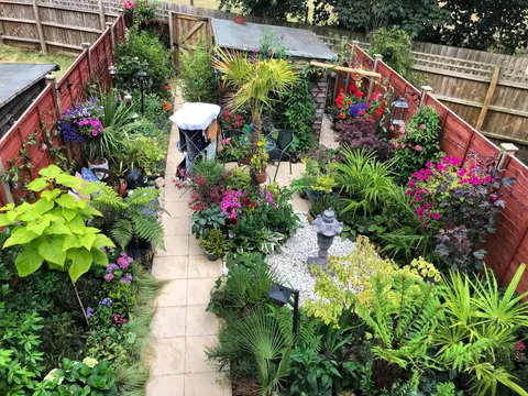 Summer is here ☀️🔥🌿🌴