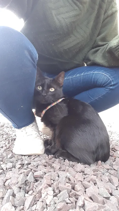 From 1 month to 2 years ❤️