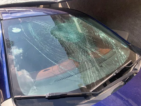 Neighbors dog escaped and fell from the dividing wall onto my cars windshield.