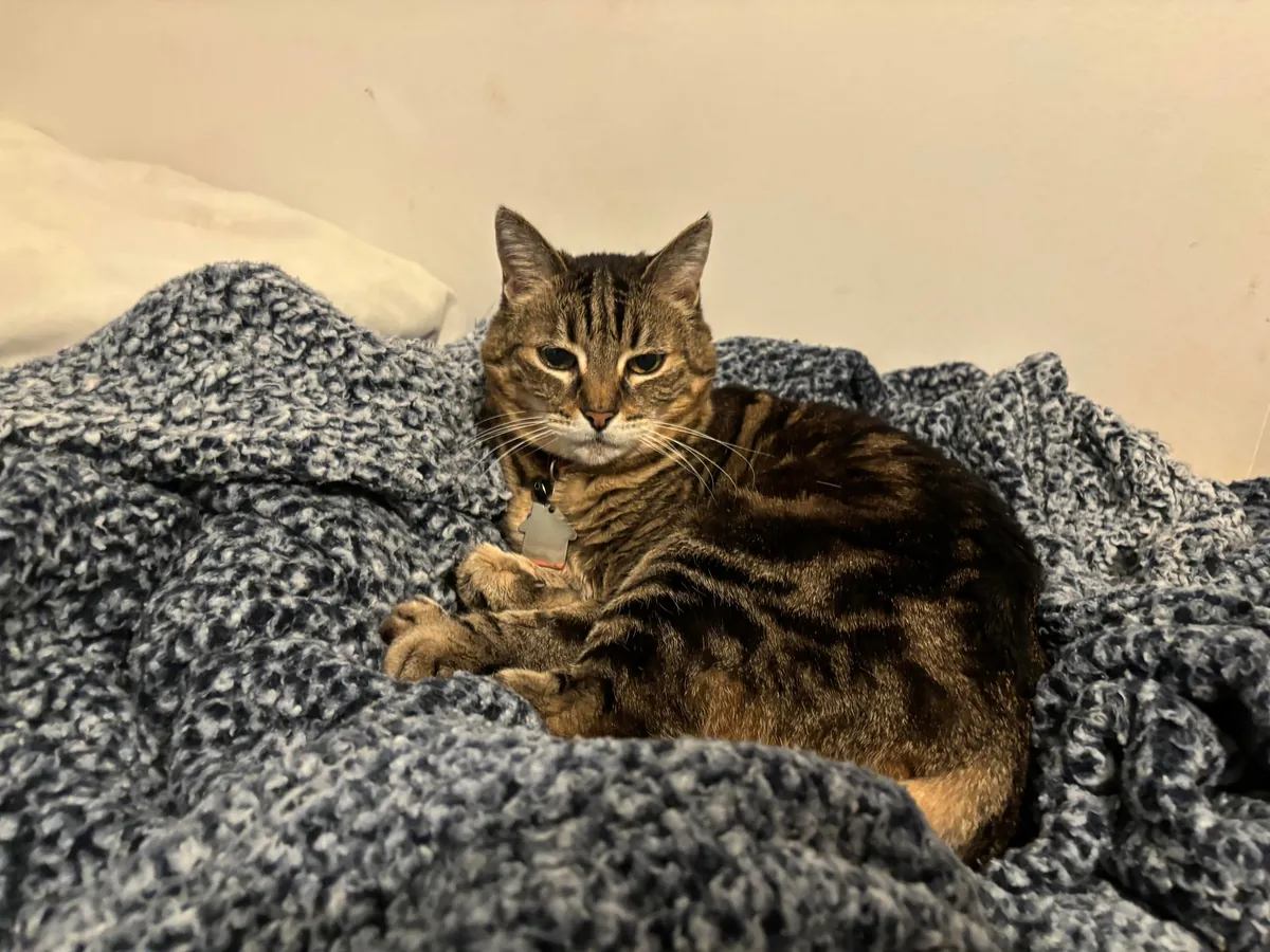 Turned 20yr yesterday 