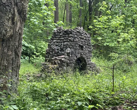 Abandoned Fireplace in the Woods