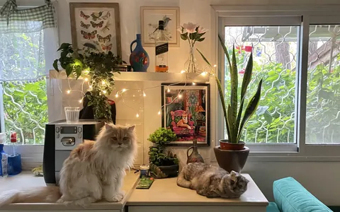 Morning with my babies