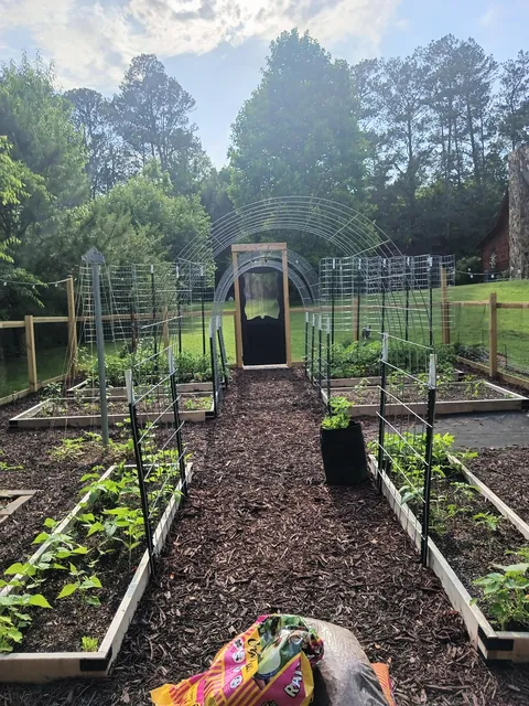 My wife's garden