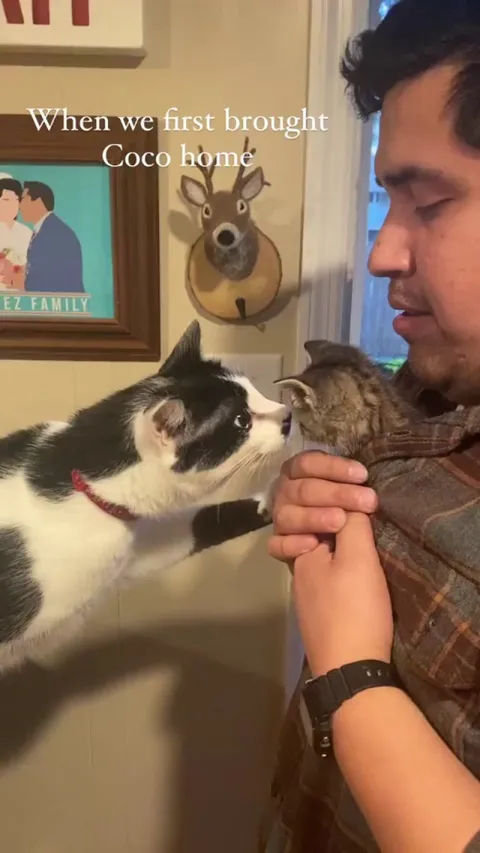 That’s a good big brother