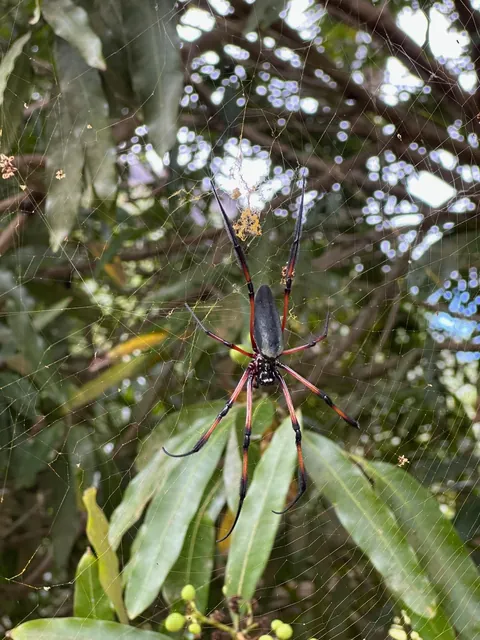 One Week on Praslin, Seychelles 🇸🇨