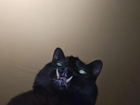 My view most every morning