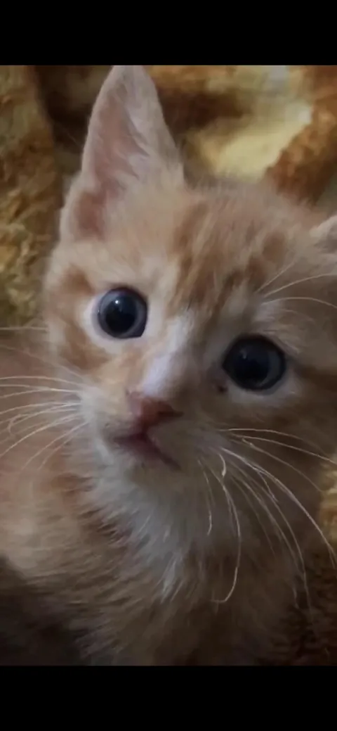 That little face melts my heart.