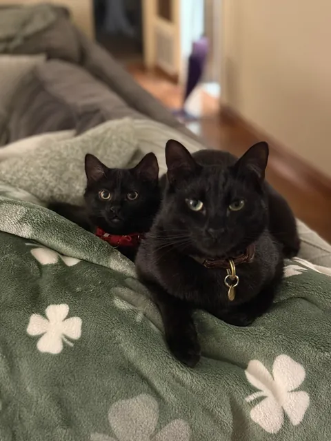 What would you name her?