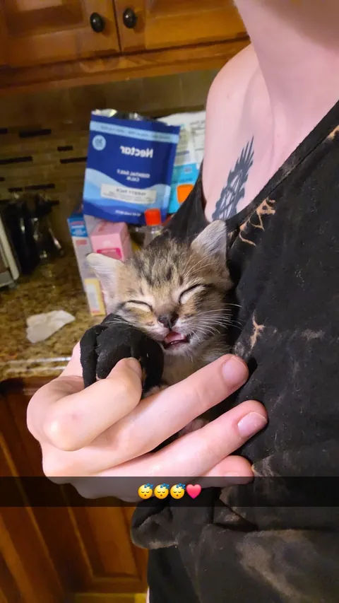 Photo dump of Chimney. The single kitten i found all alone.