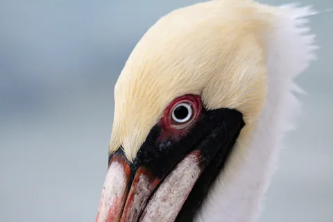 Short but sweet trip to Belize