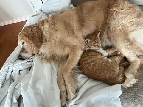 JimJim loves his Clover dog