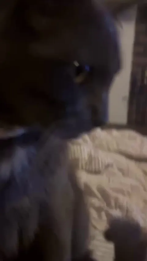 My baby wanting attention ❤️