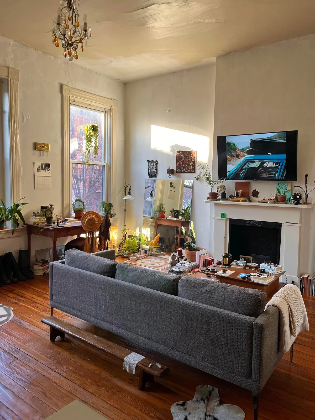 Home Is Where 🐈 Is