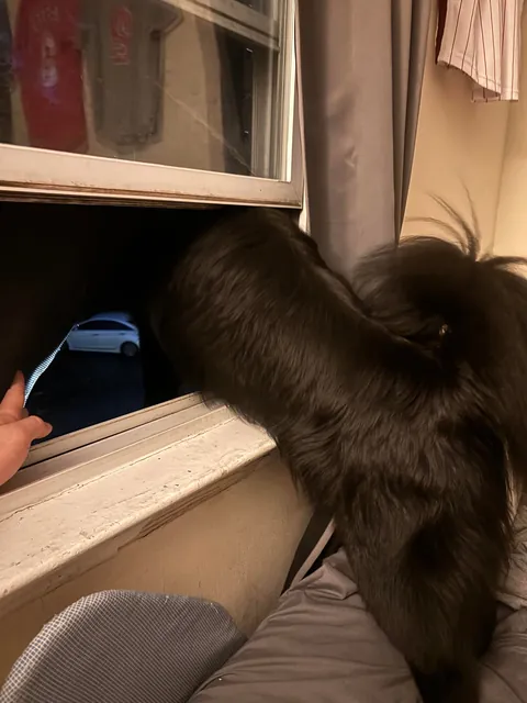 Quite the shocking text to get in the middle of a work meeting… Look at that smug face!