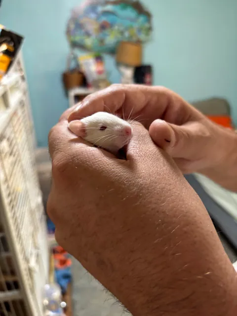 Welp now have 21 🤯