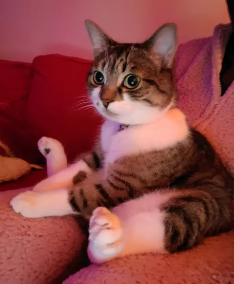 This is Paul. He's very cute. That is all