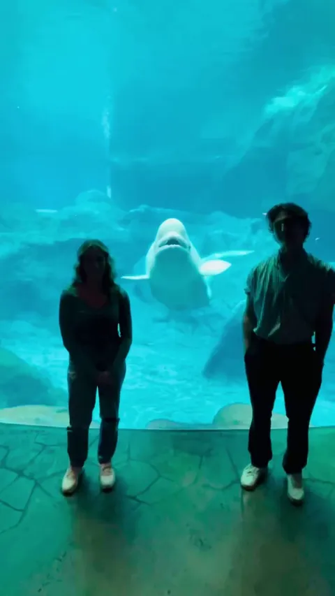 Couldn’t have picked a better photobomb