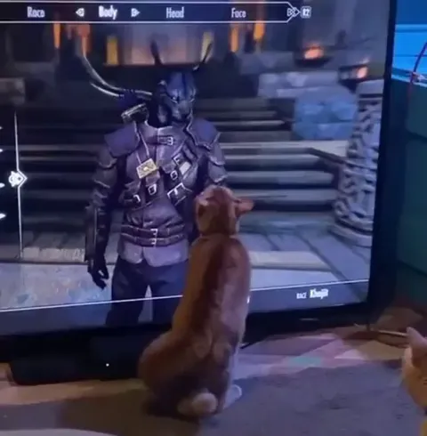 Kitty doesn’t know how to handle a Khajit