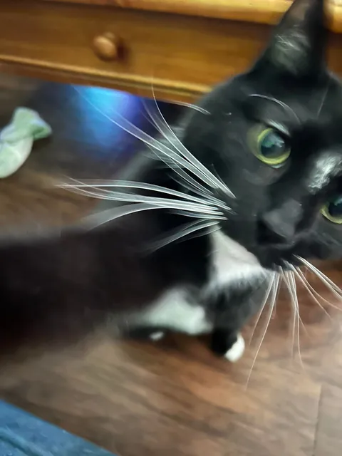 I never wanted to have to make this post. For my baby, Turkleton