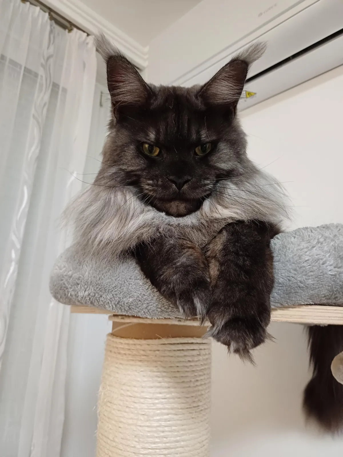 Hi reddit, it's Théoden. Did not see you for a long time