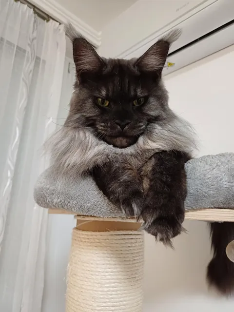 Hi reddit, it's Théoden. Did not see you for a long time