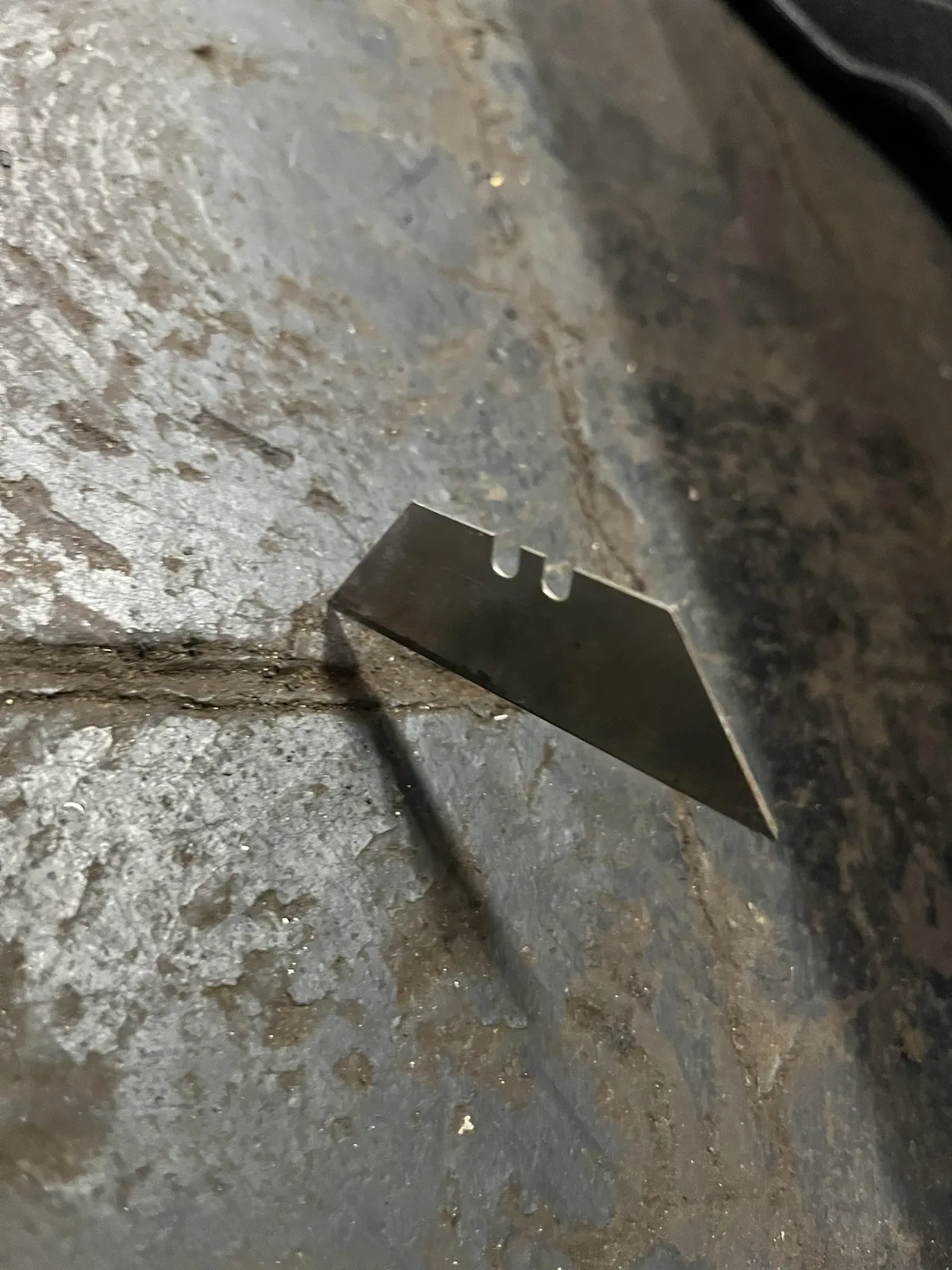Razor blade that fell off my coworkers desk.