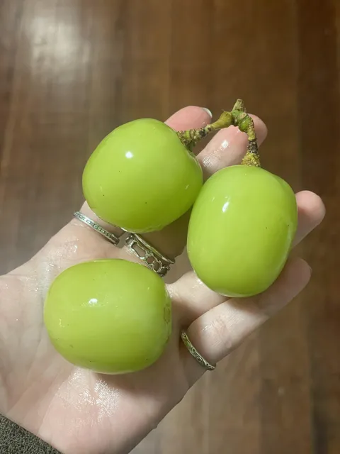 giant crunchy grapes.