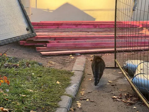 tough day of a construction worker